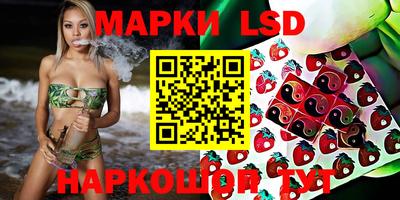 гидра Новозыбков