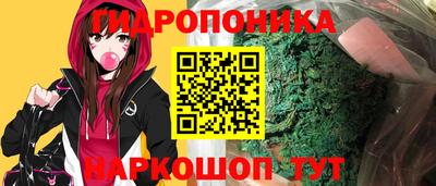 гидра Новозыбков