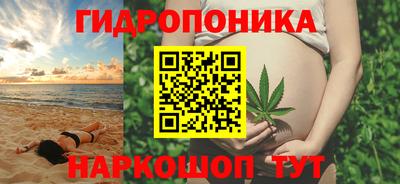 амф Новодвинск