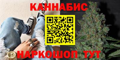 амф Новодвинск