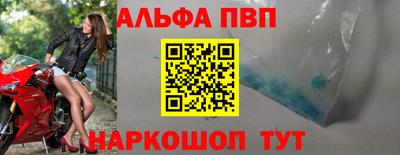 амф Новодвинск